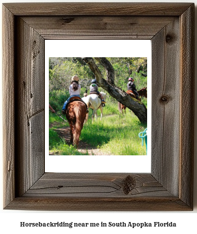 horseback riding near me in South Apopka, Florida